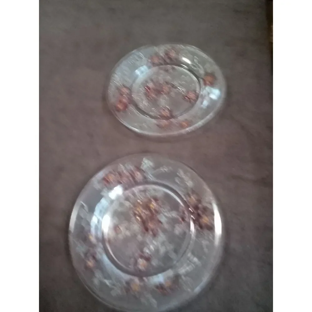 Vtg Rerverse Pressed Glass Plates~CLEAR with colored Flowers 8 1/4